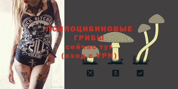 ешки Волоколамск