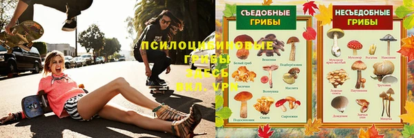 эйфоретик Верея