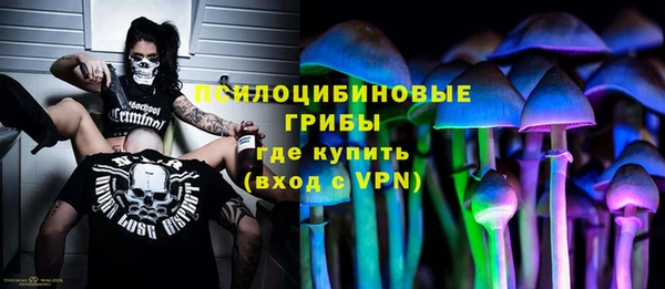 трава Тавда